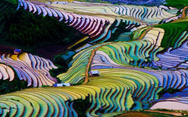 Natural valleys, rice fields