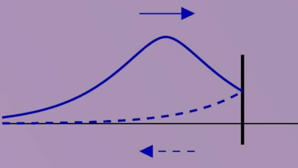 What can cutting a photon in half tell us about causality and local
