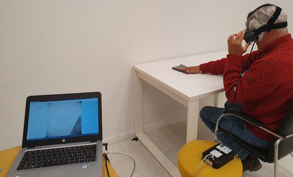 Visual behavioural test